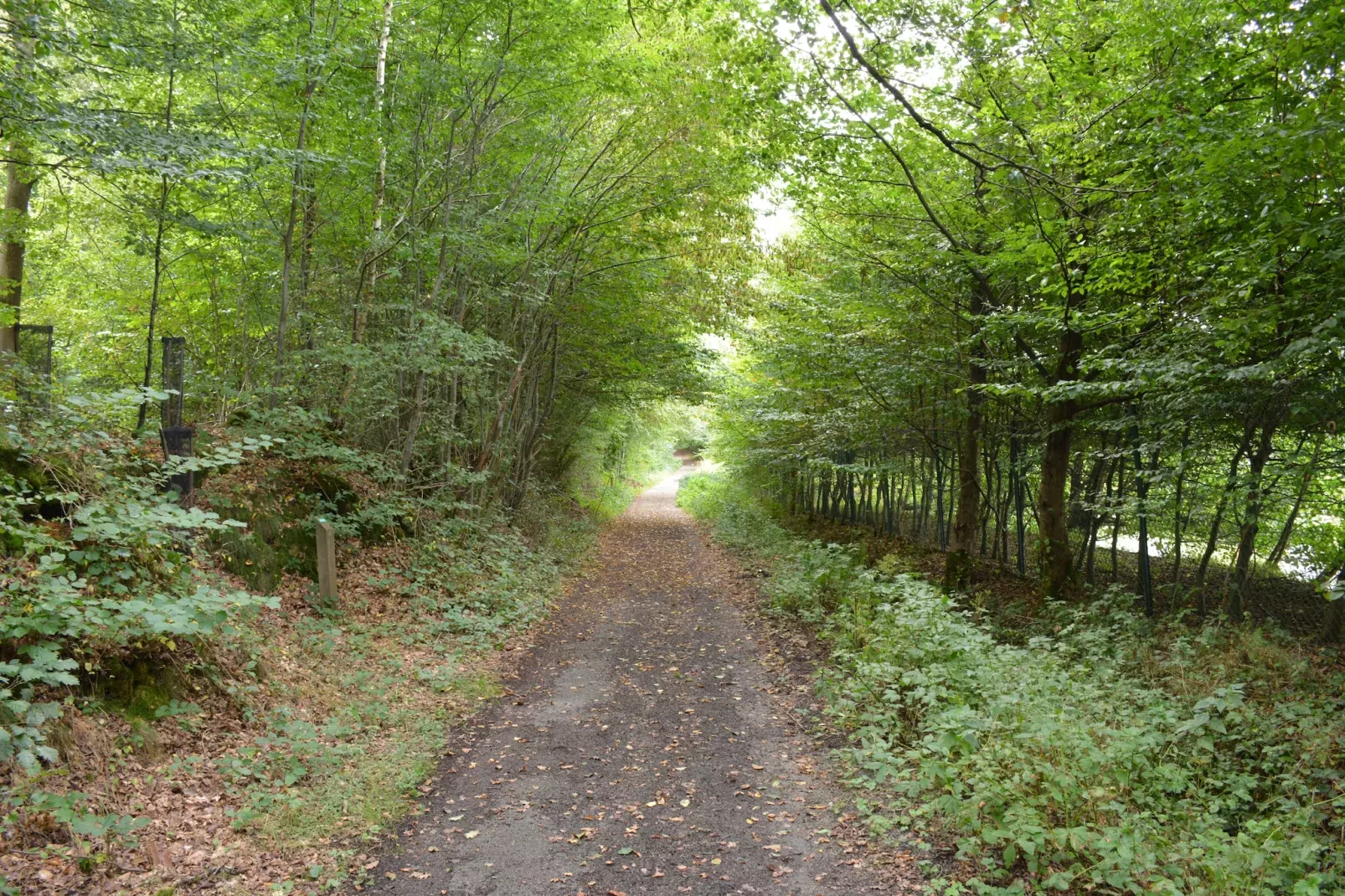 Le Fenil-Zones d'été à 1 km