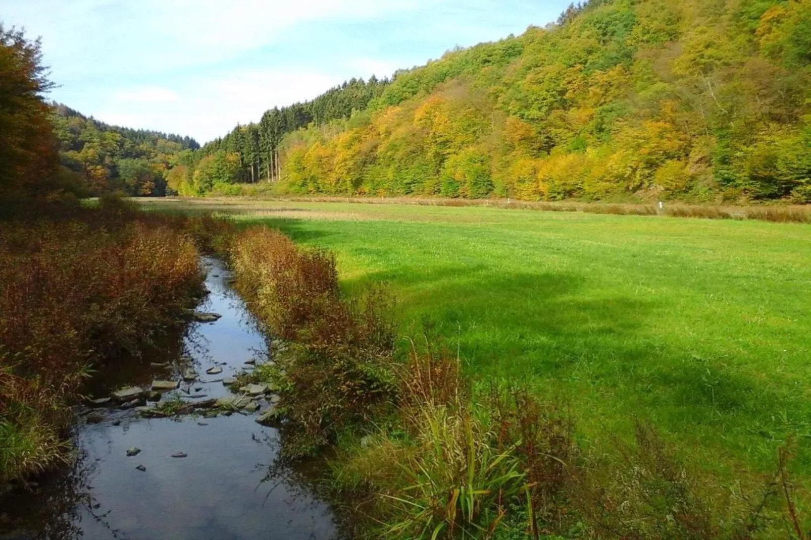 Ferienwohnung Bluzi im Westerwald-Areas summer 20km