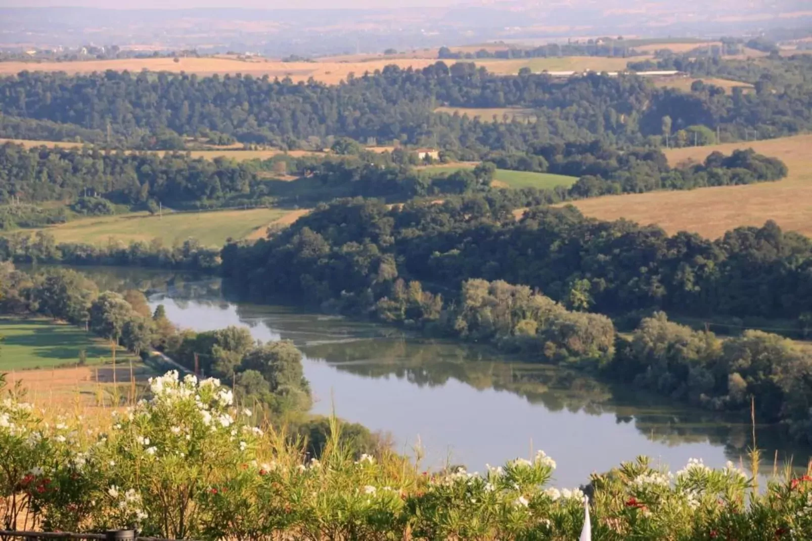 Lavanda-Zones été à 20 km
