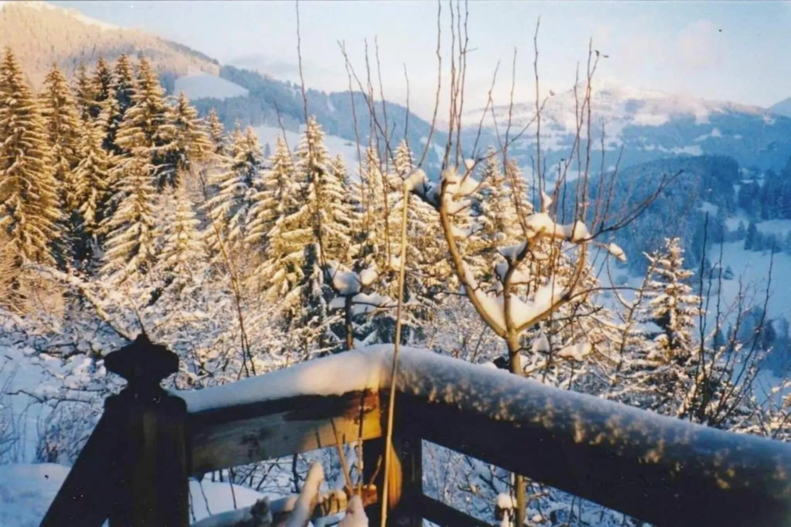 Beautiful Modern Chalet in the Gstaad Region-Gebiet Winter 5 km