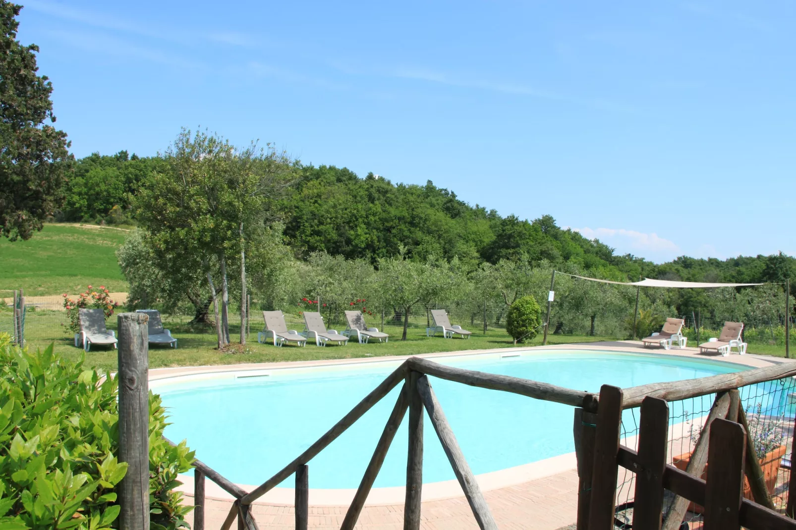 La Ginestra-Pool