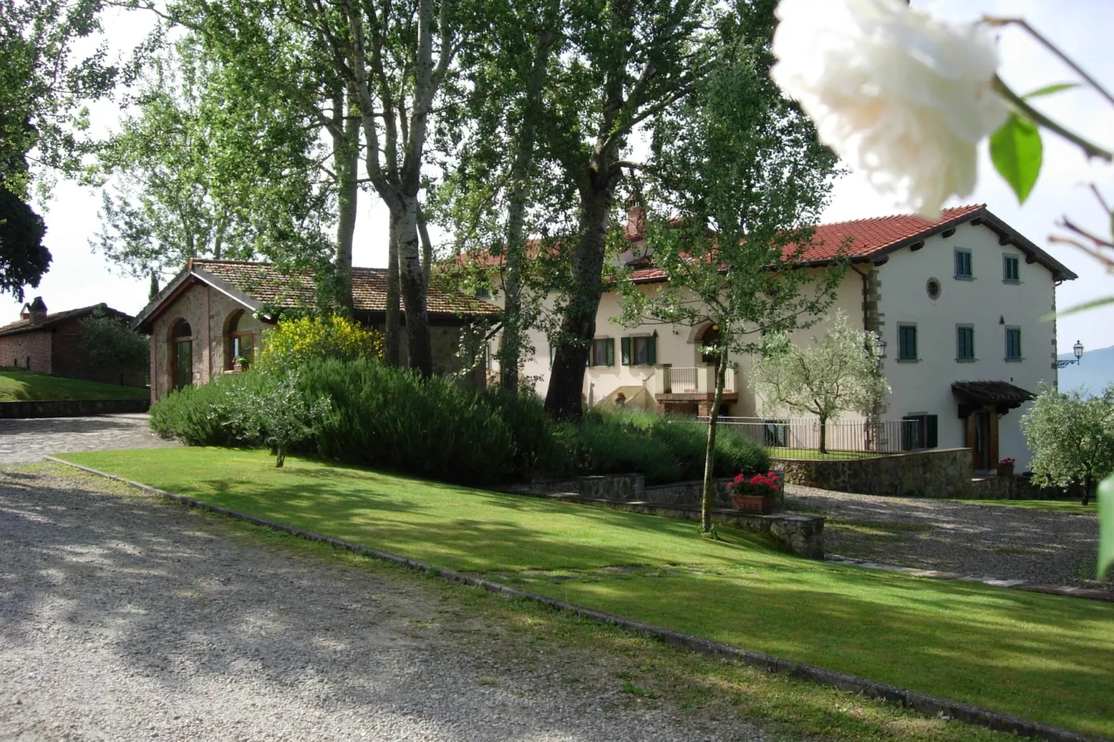 Il Noce-Exterior summer