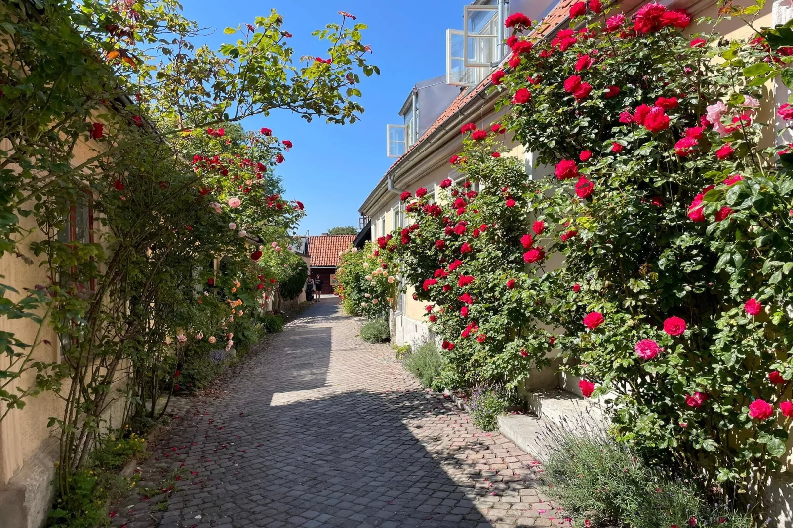 5 person holiday home in STENKYRKA-Not tagged