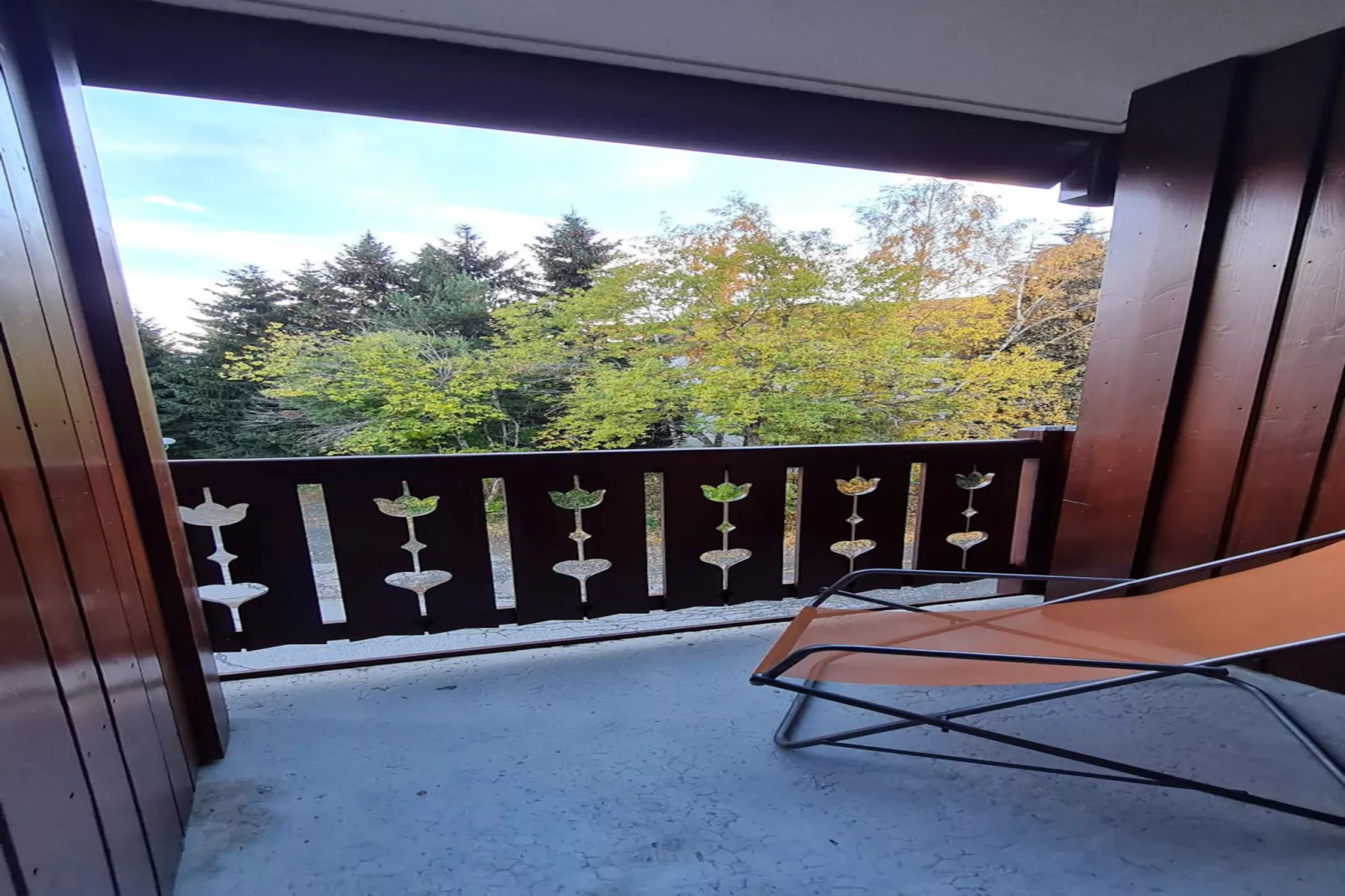 Alpina Lodge N°21 - 2P4-Terrace balcony