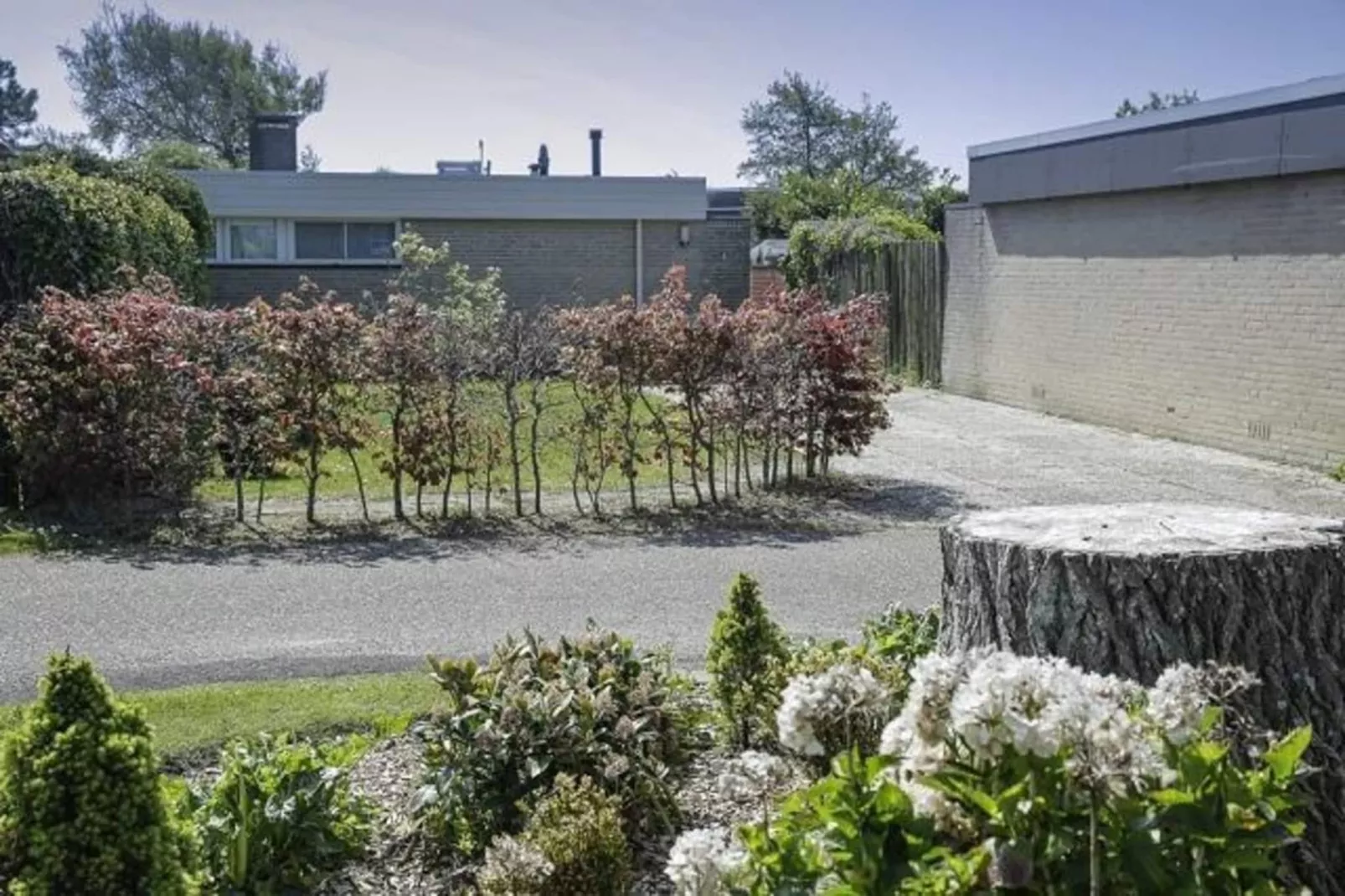 De Schelp 14-Gardens summer