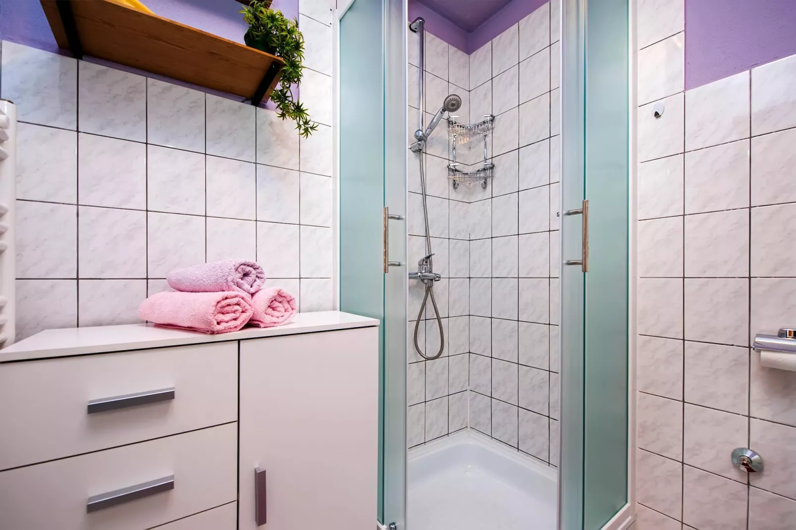 Apartment Dolacki-Bathroom