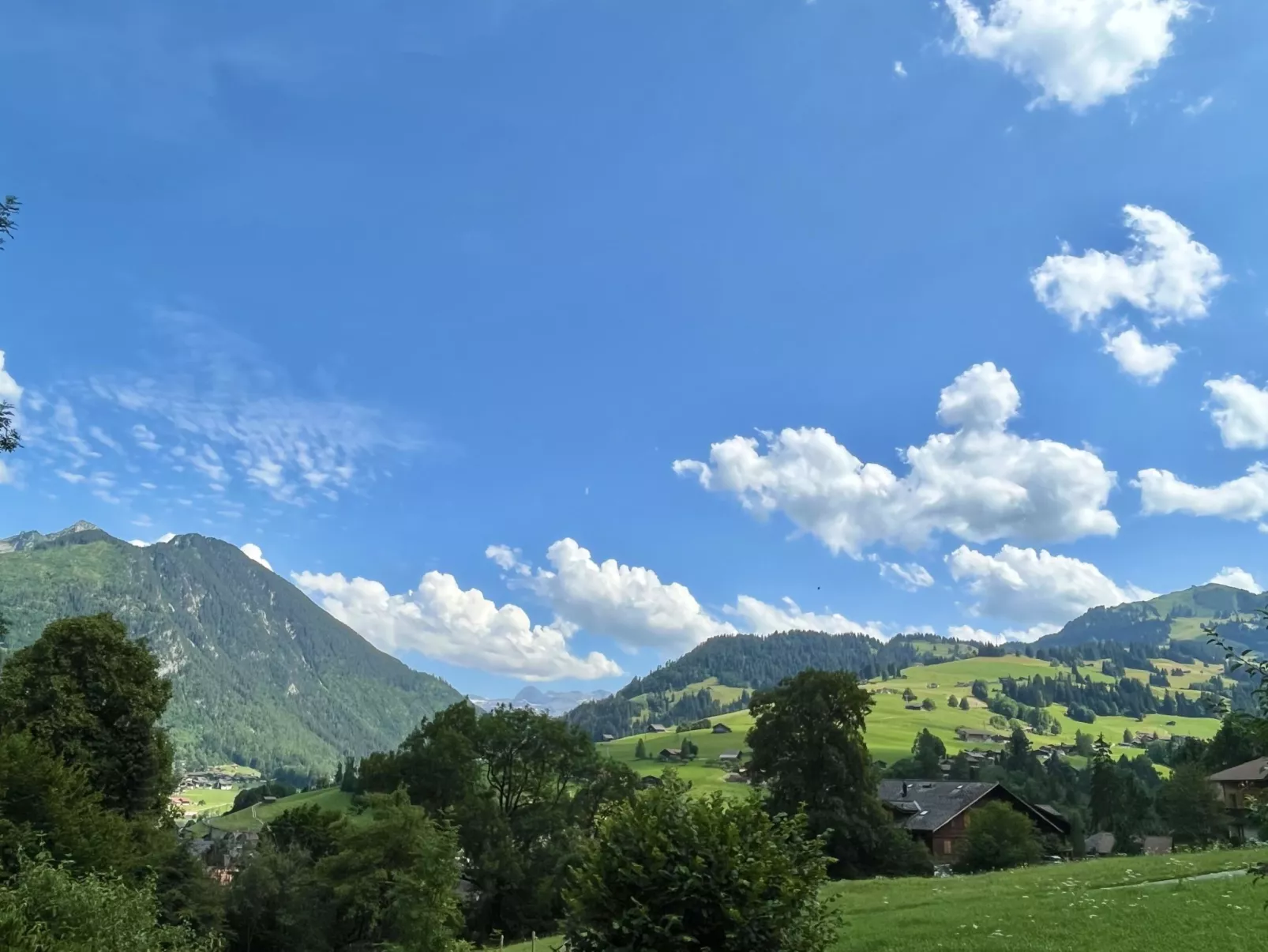 Akelei (gross)-Draußen