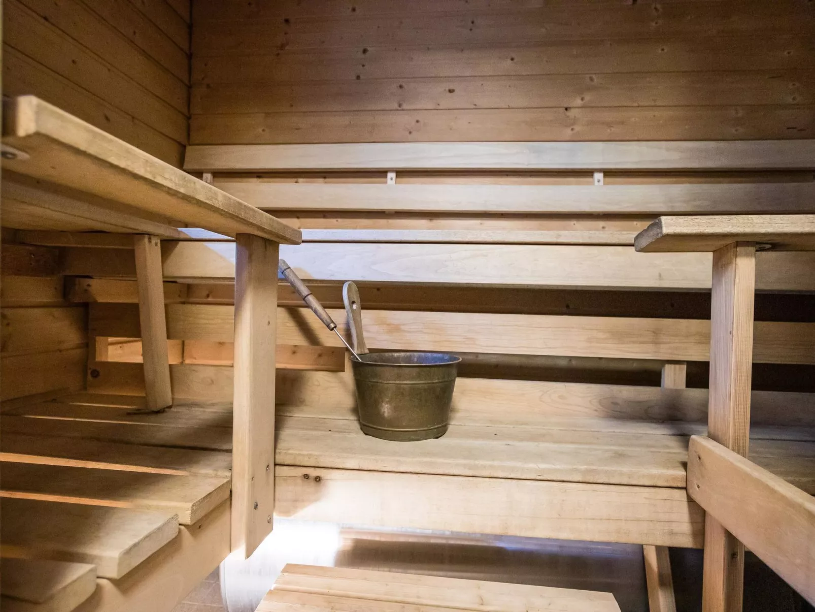 Tunturitähti, lainio-Inside