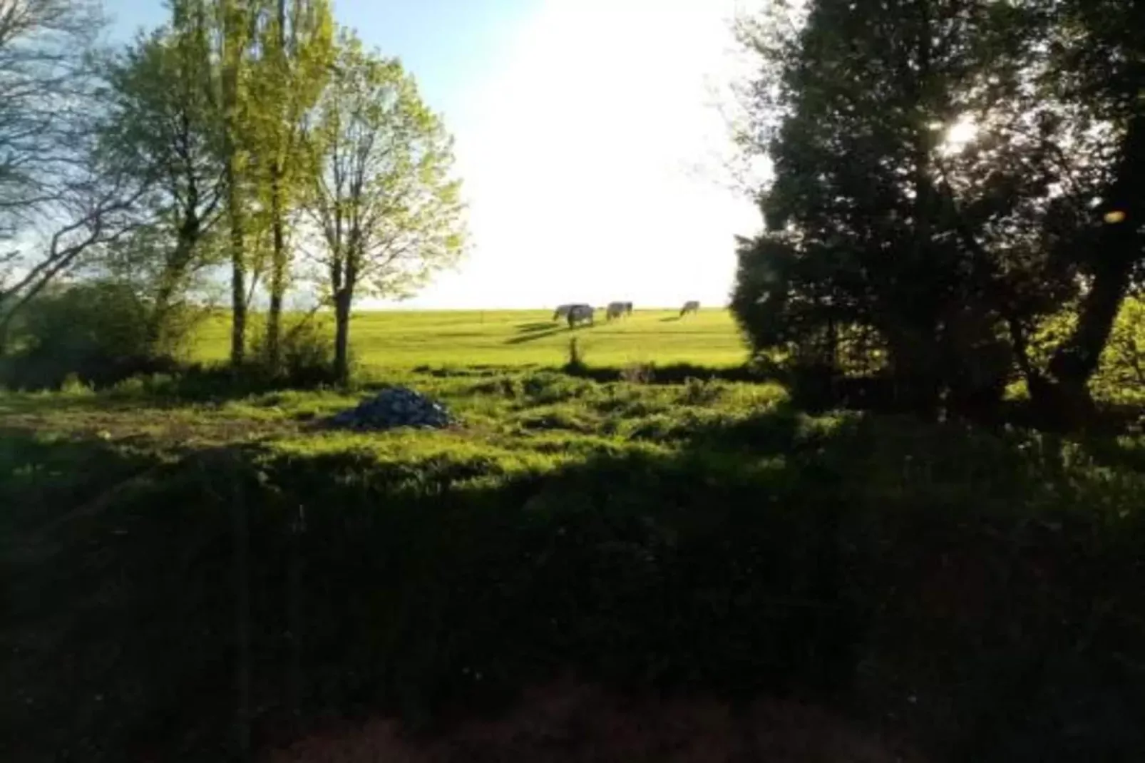 Be Durbuy-Zones d'été à 20 km