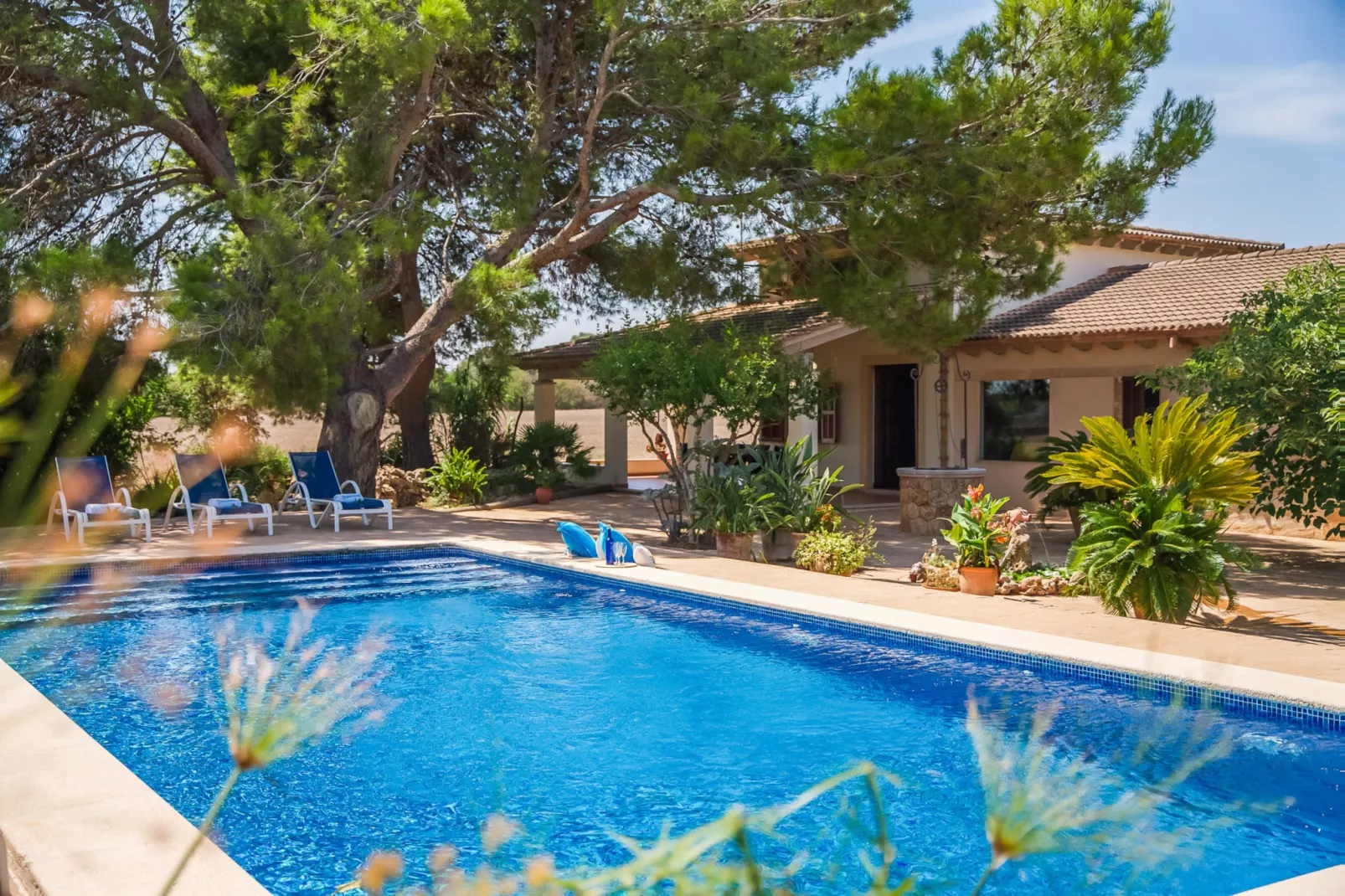 Can Ribas-Piscine