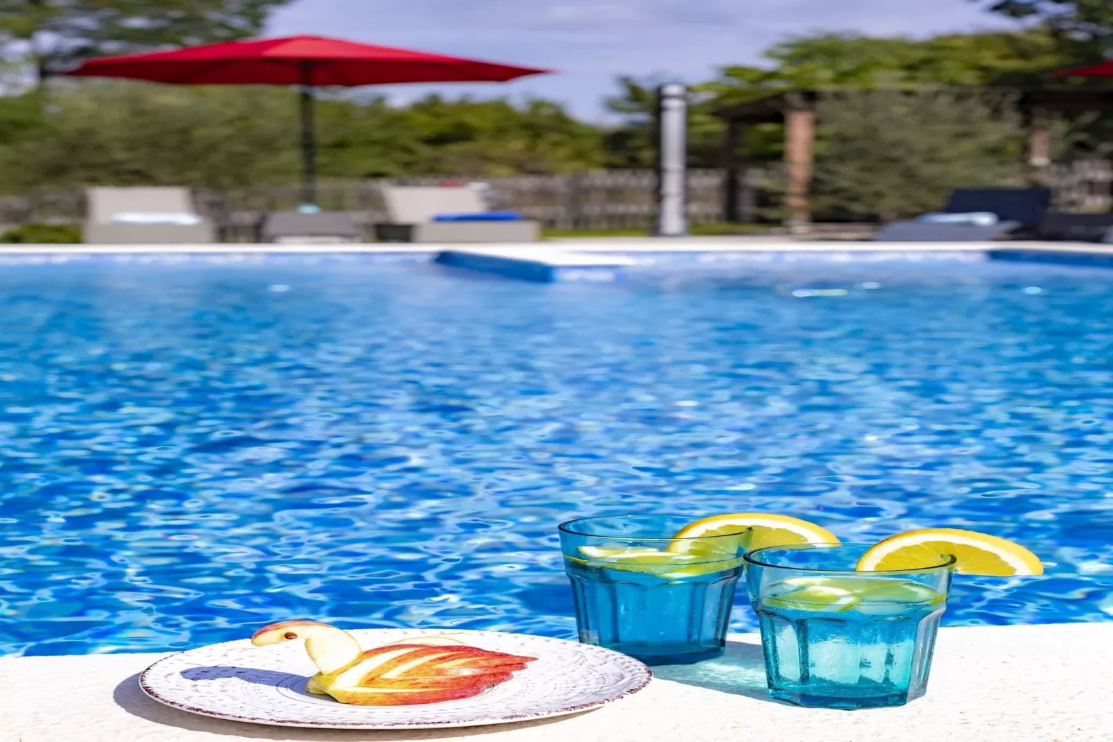 Red House Kraj Drage - Oasis in the Nature-Schwimmbad