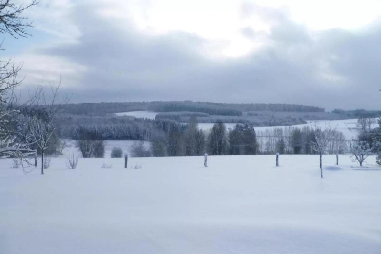 Sijs-Gebiet Winter 20 km