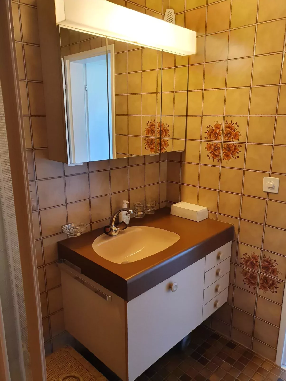 Panoramaferienwohnung Waldkircher-Drinnen