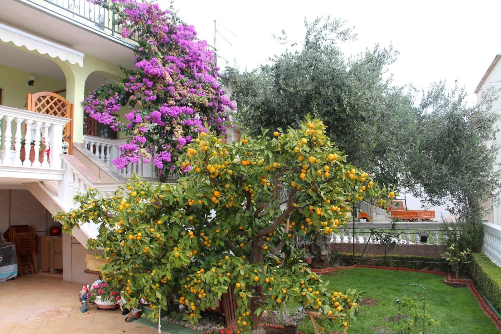 Apartments Gojevic - two bedroom apartment A2-Jardin d'été