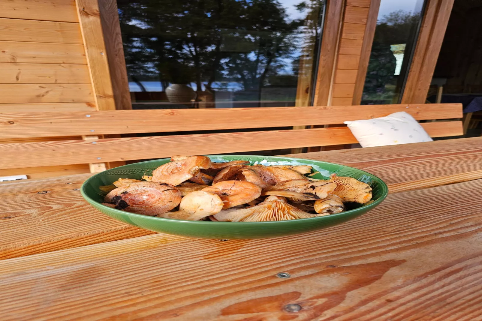 	Domek wakacyjny LAWENDA dla max 4 osób Grąbczyn-Terrace balcony