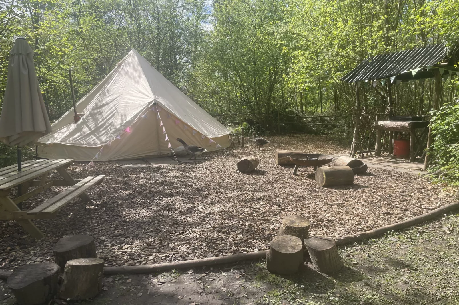 Jungle Bell Tent-Outdoor