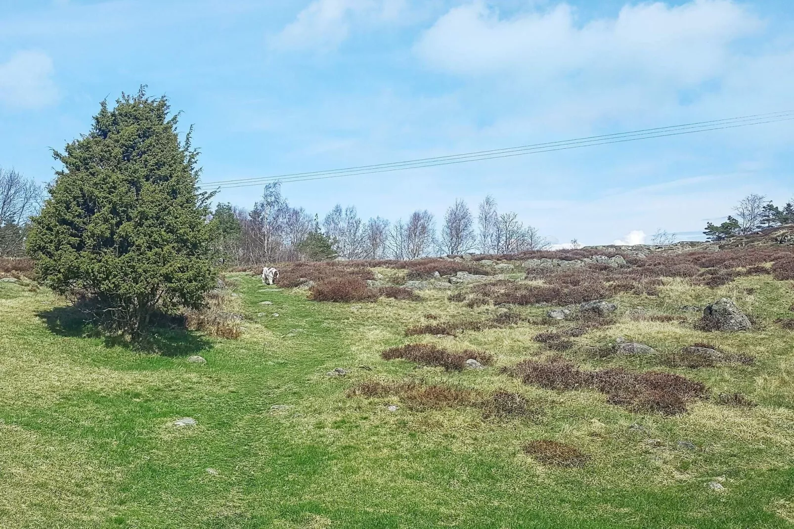4 person holiday home in KYRKESUND-By Traum