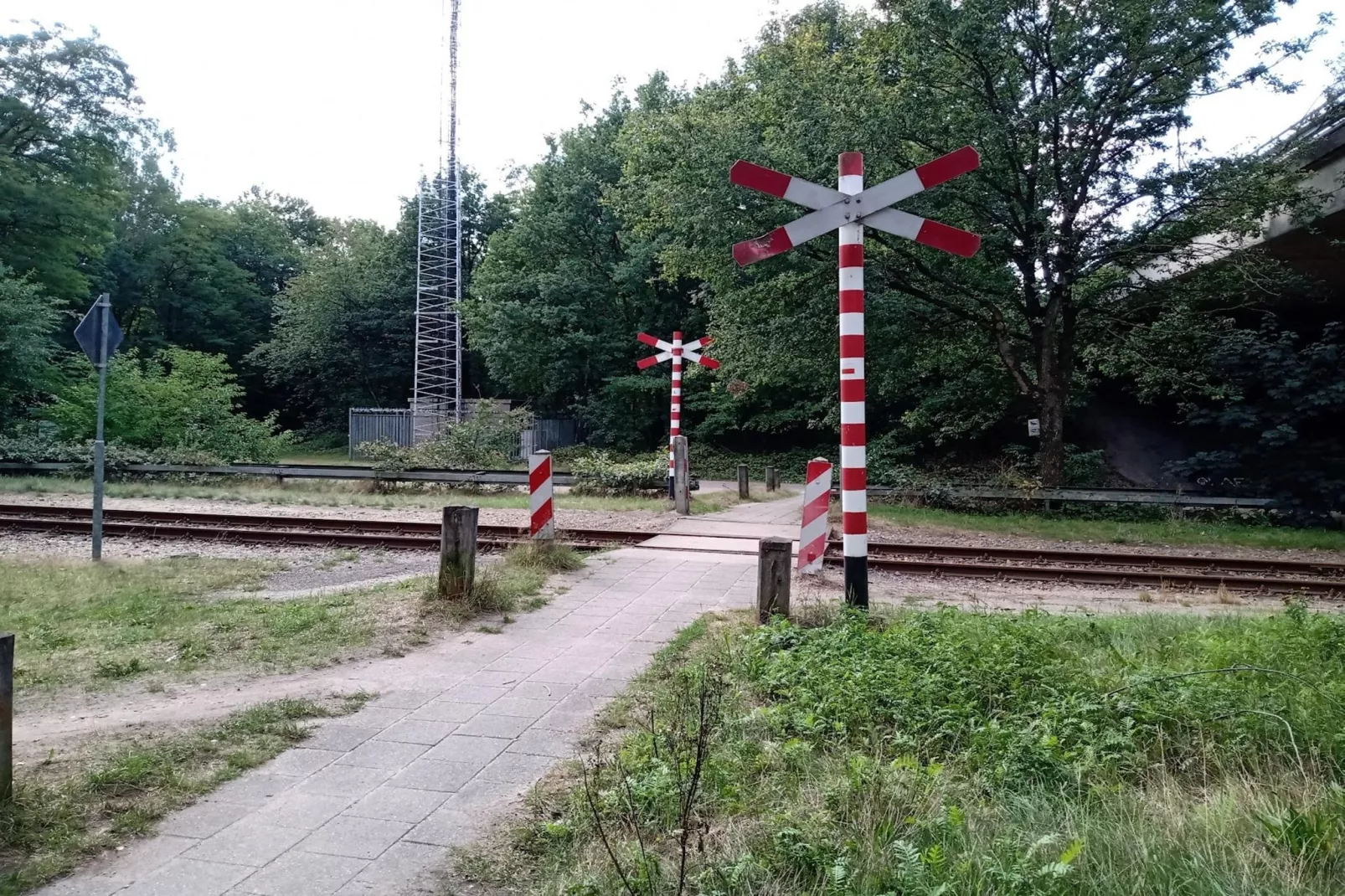 Chalet Meerkoet-Gebiete Sommer 1 km