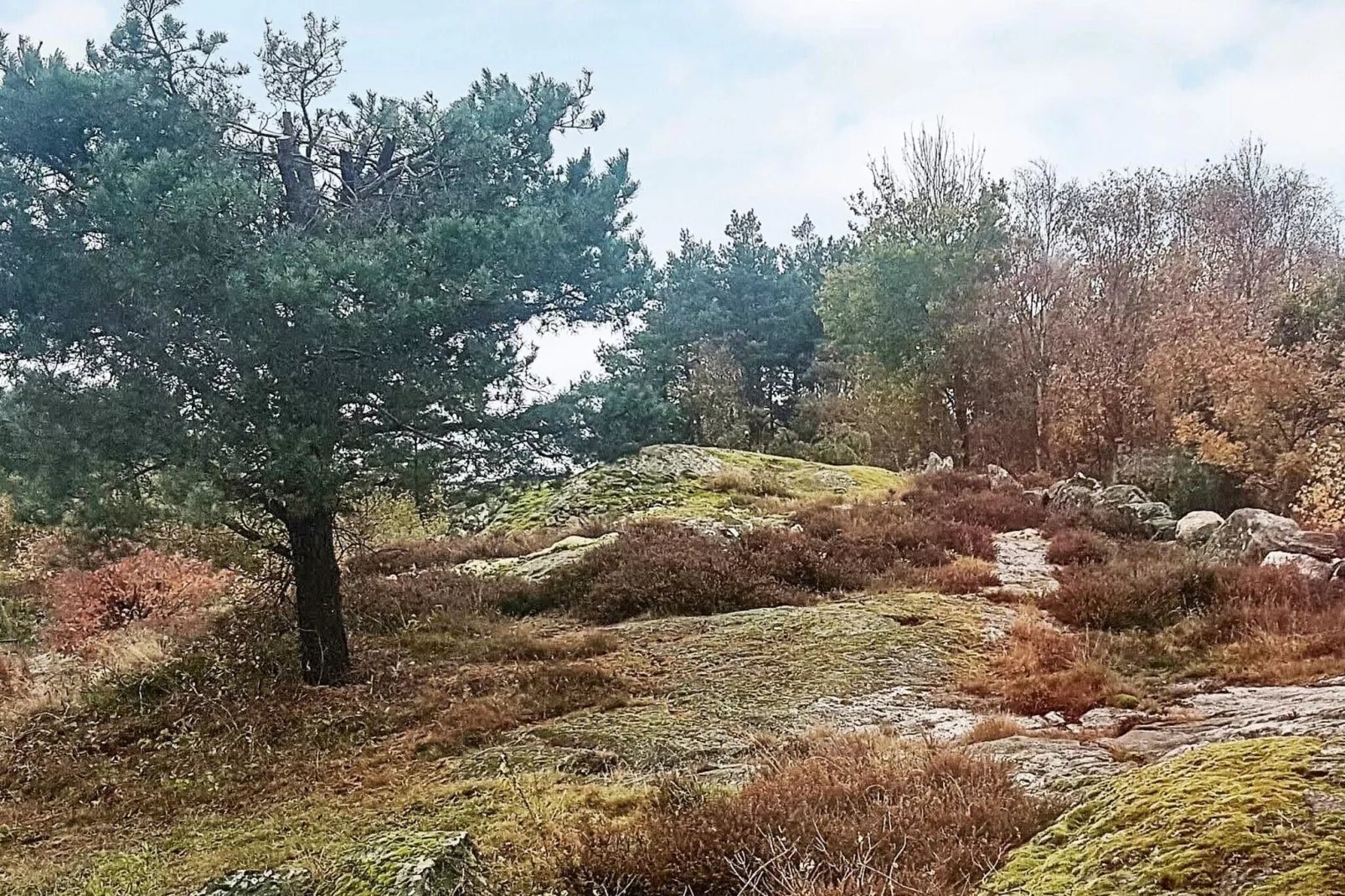 Maison de vacances pour 4 a KYRKESUND-By Traum-Vue