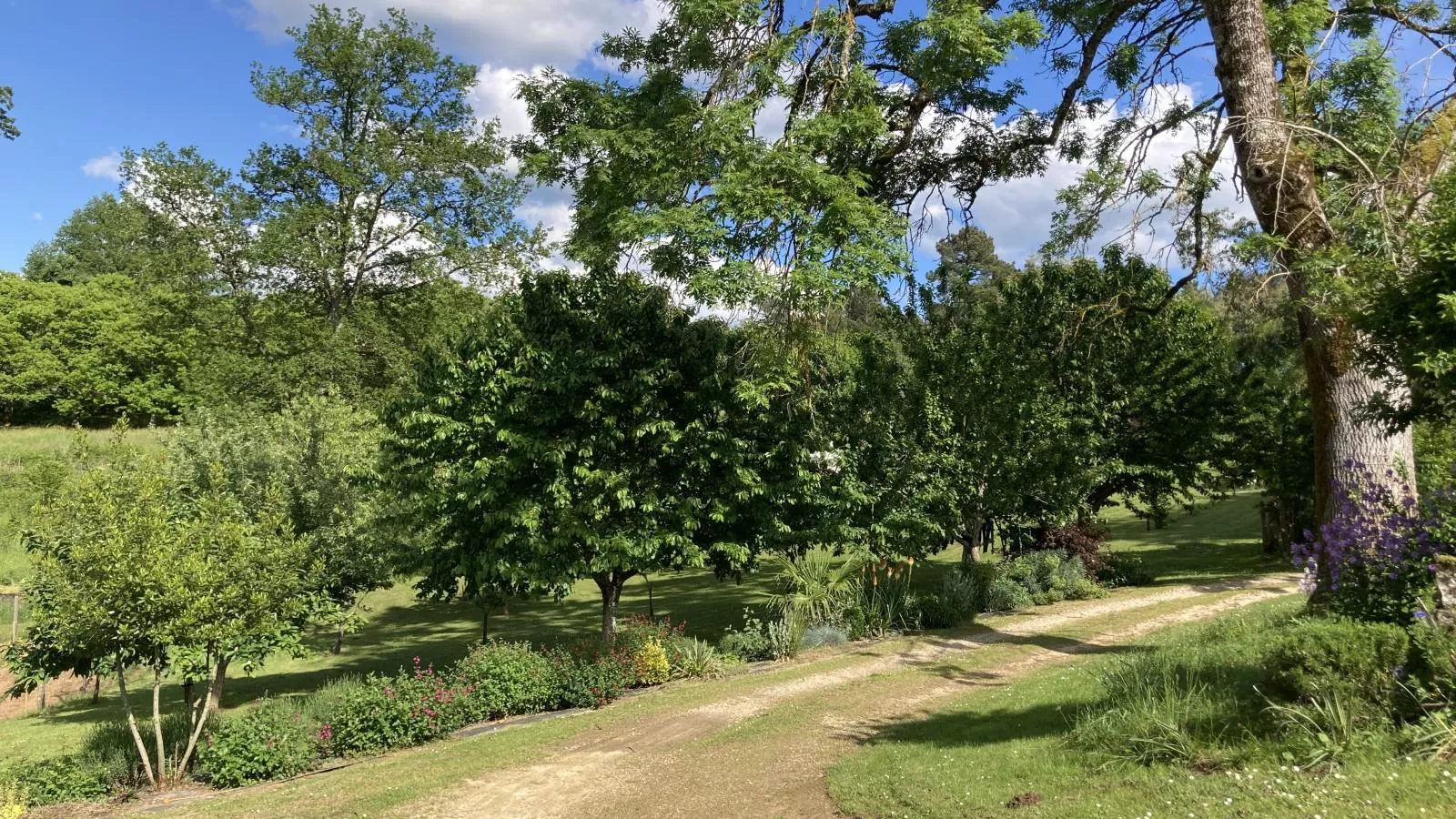 Maison des Yourtes-Gardens summer