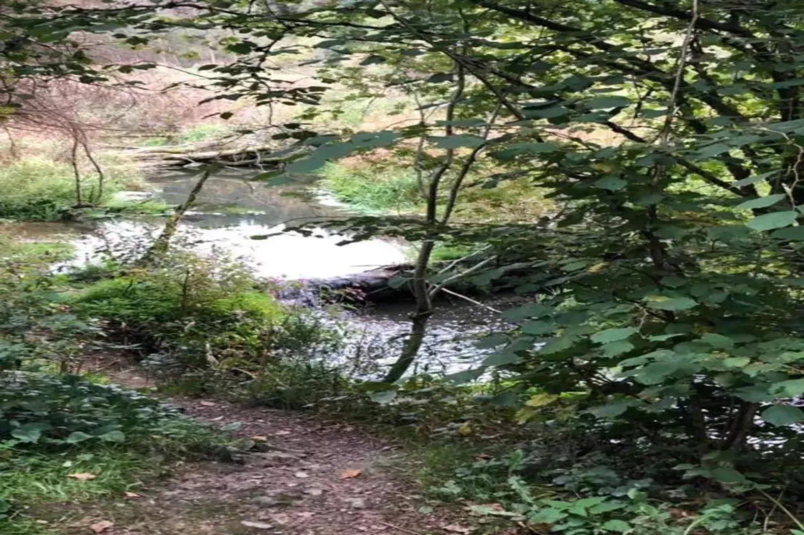 Les Mesanges-Areas summer 20km