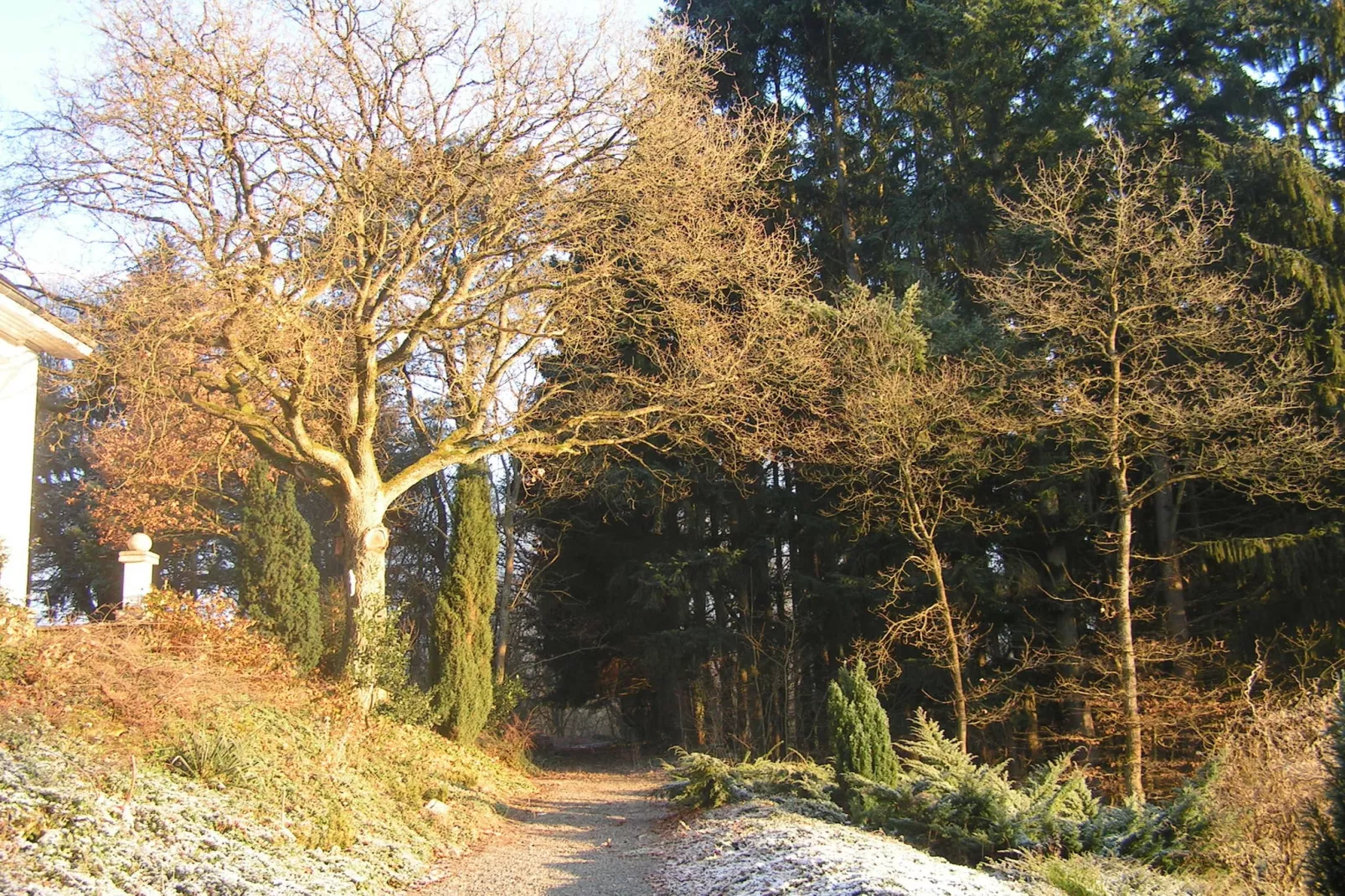 Domaine De L'Ecureuil 1-Garden winter