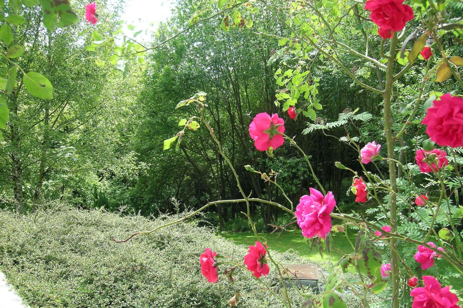 Domaine De L'Ecureuil 5-Gardens summer