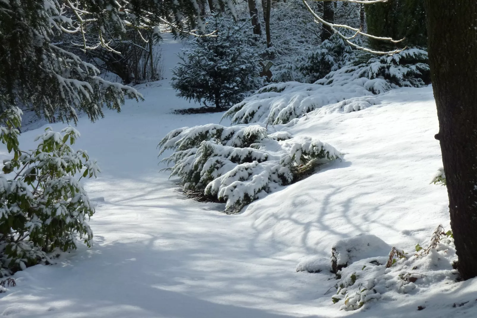 Domaine De L'Ecureuil 4-Garden winter