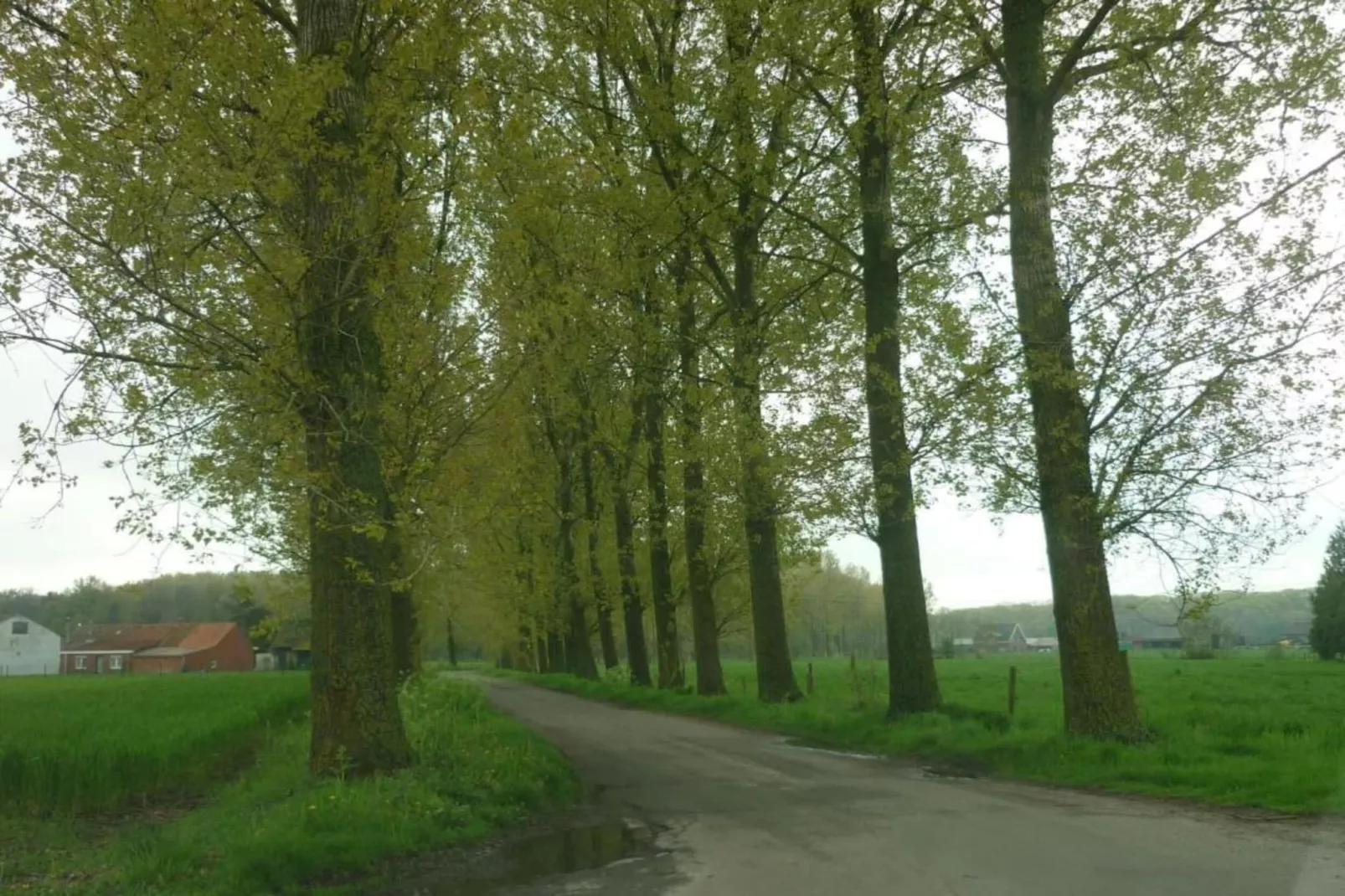 De bonte kat-Zones d'été à 20 km