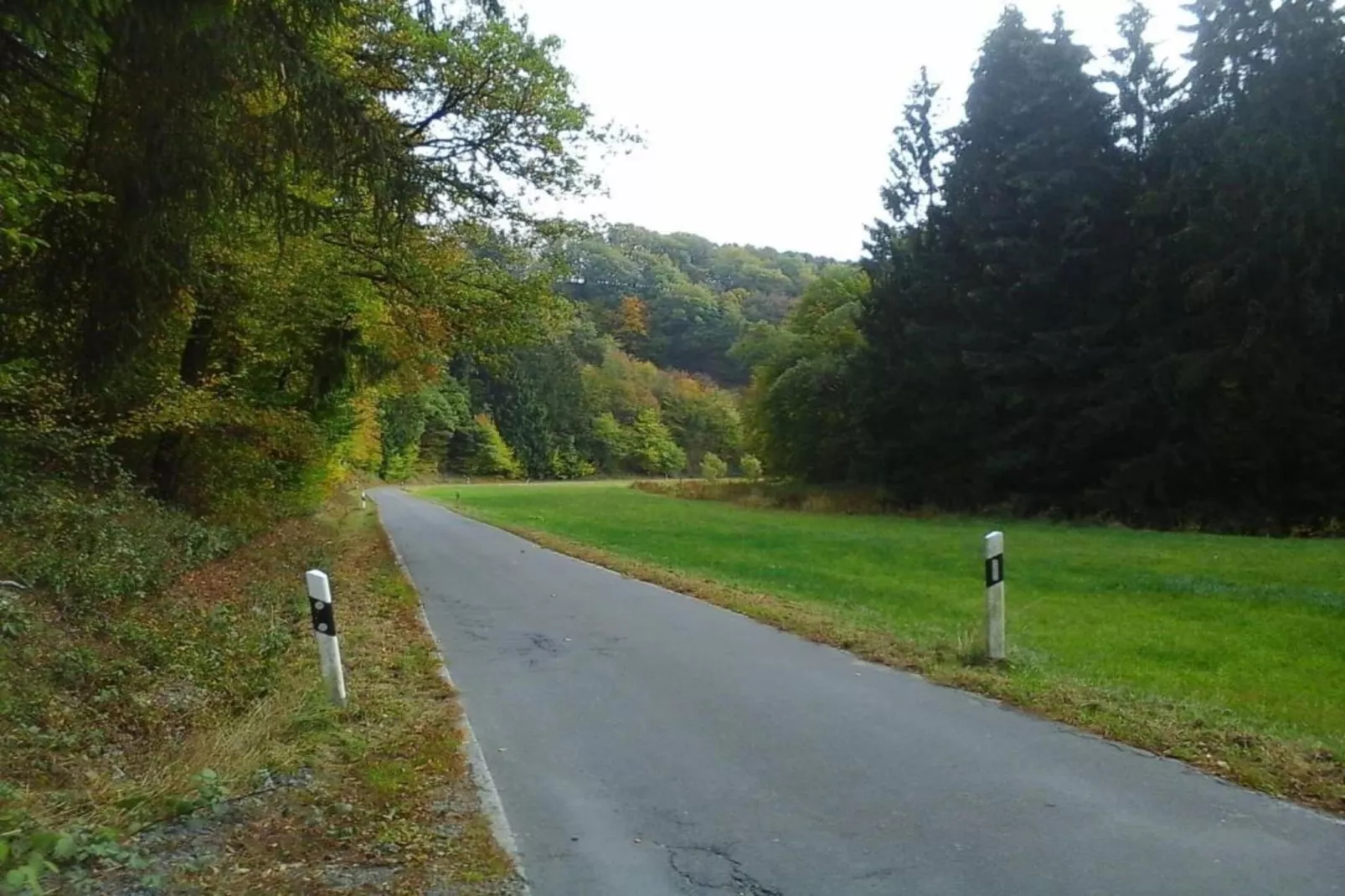Im Westerwald-Areas summer 20km