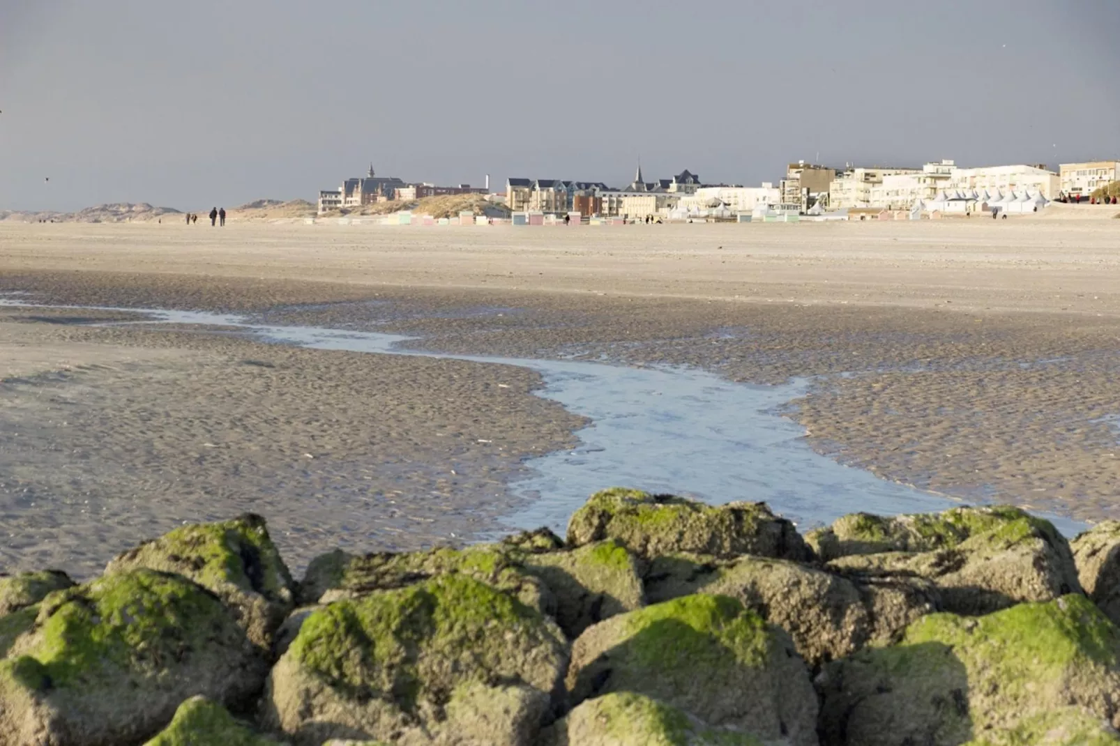 Berck sur Mer 11-Gebiete Sommer 20 km