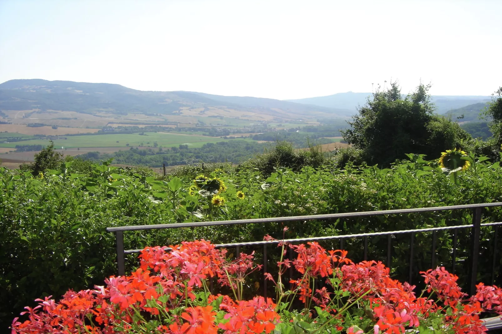 Il Portichetto-View summer