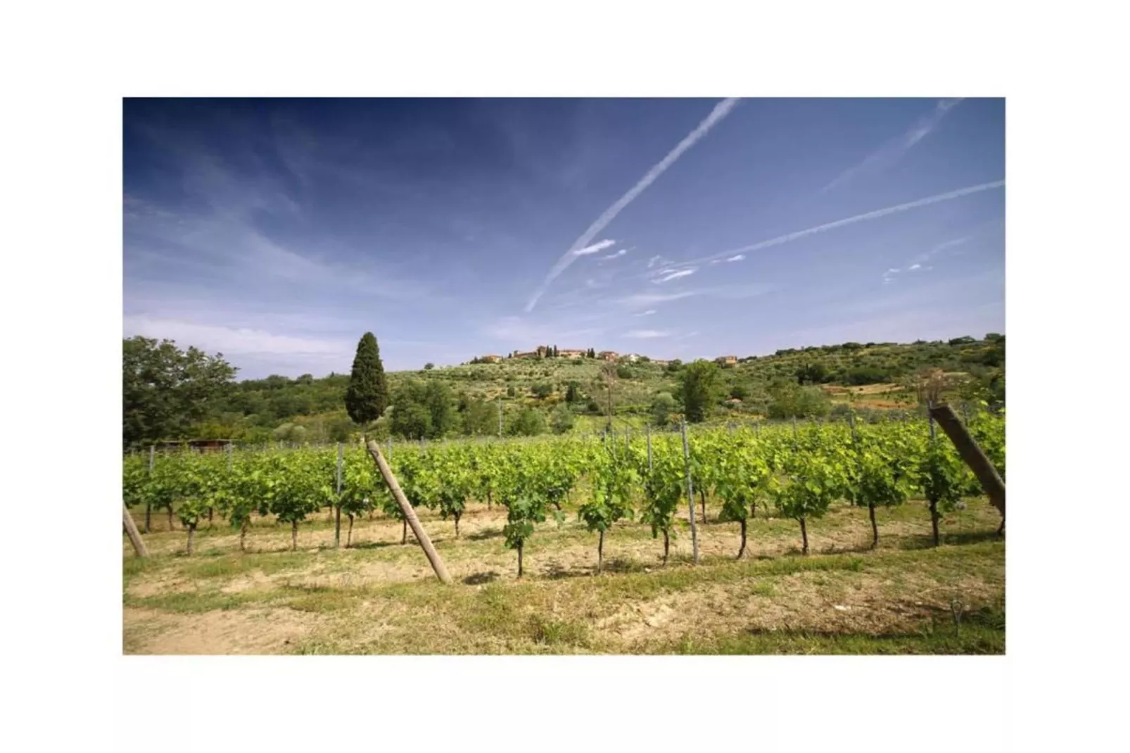Appartamento 5-Areas summer 20km