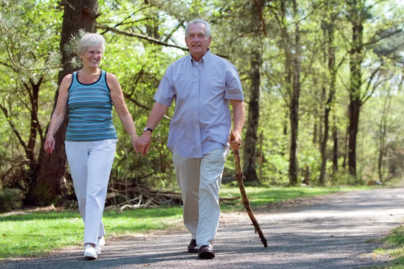Vakantiepark de Berkenhorst 8-Areas summer 5km