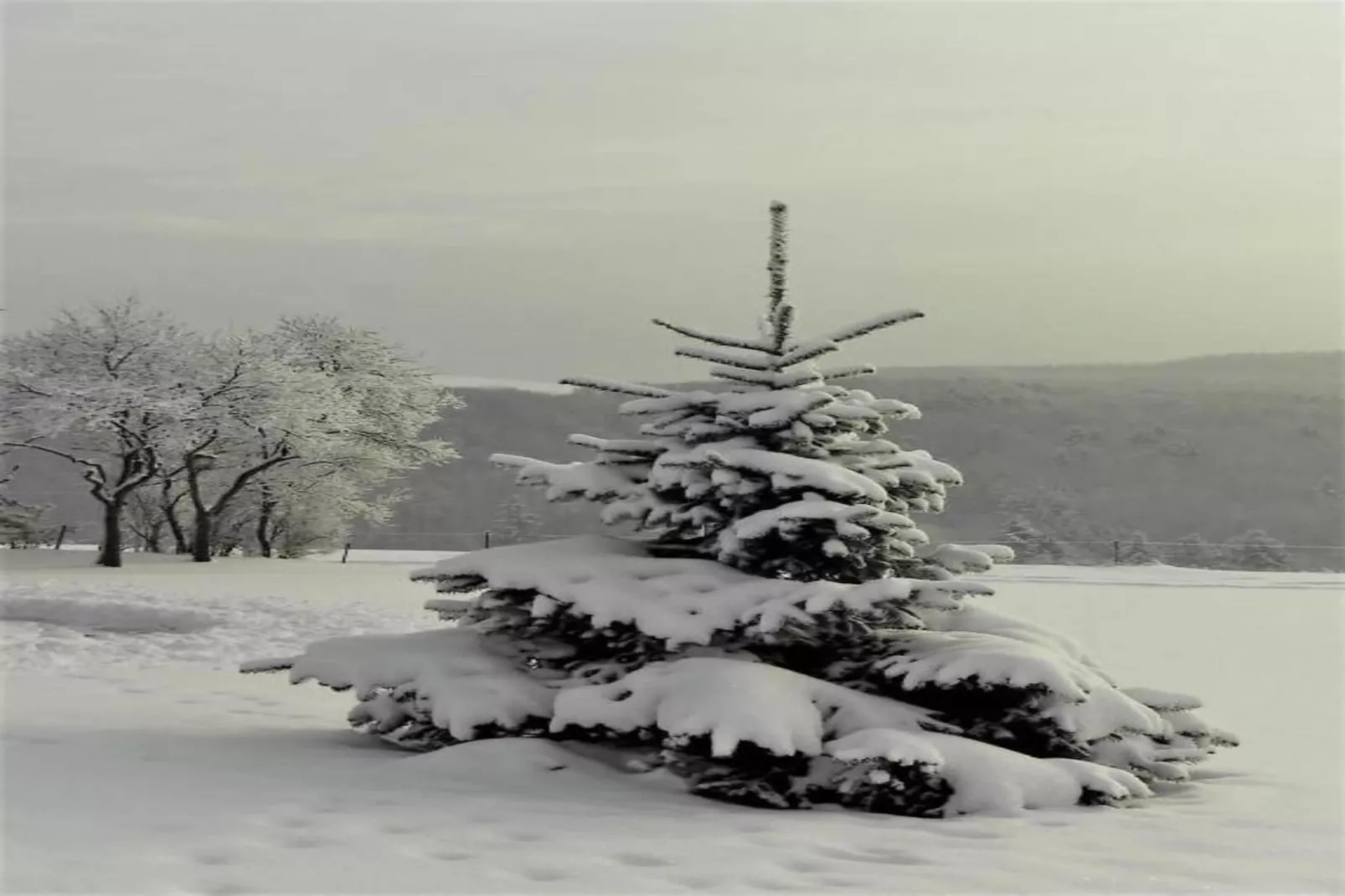 Bungalow Typ B 4P - Camping Park in der Eifel-Gebiet Winter 20 km