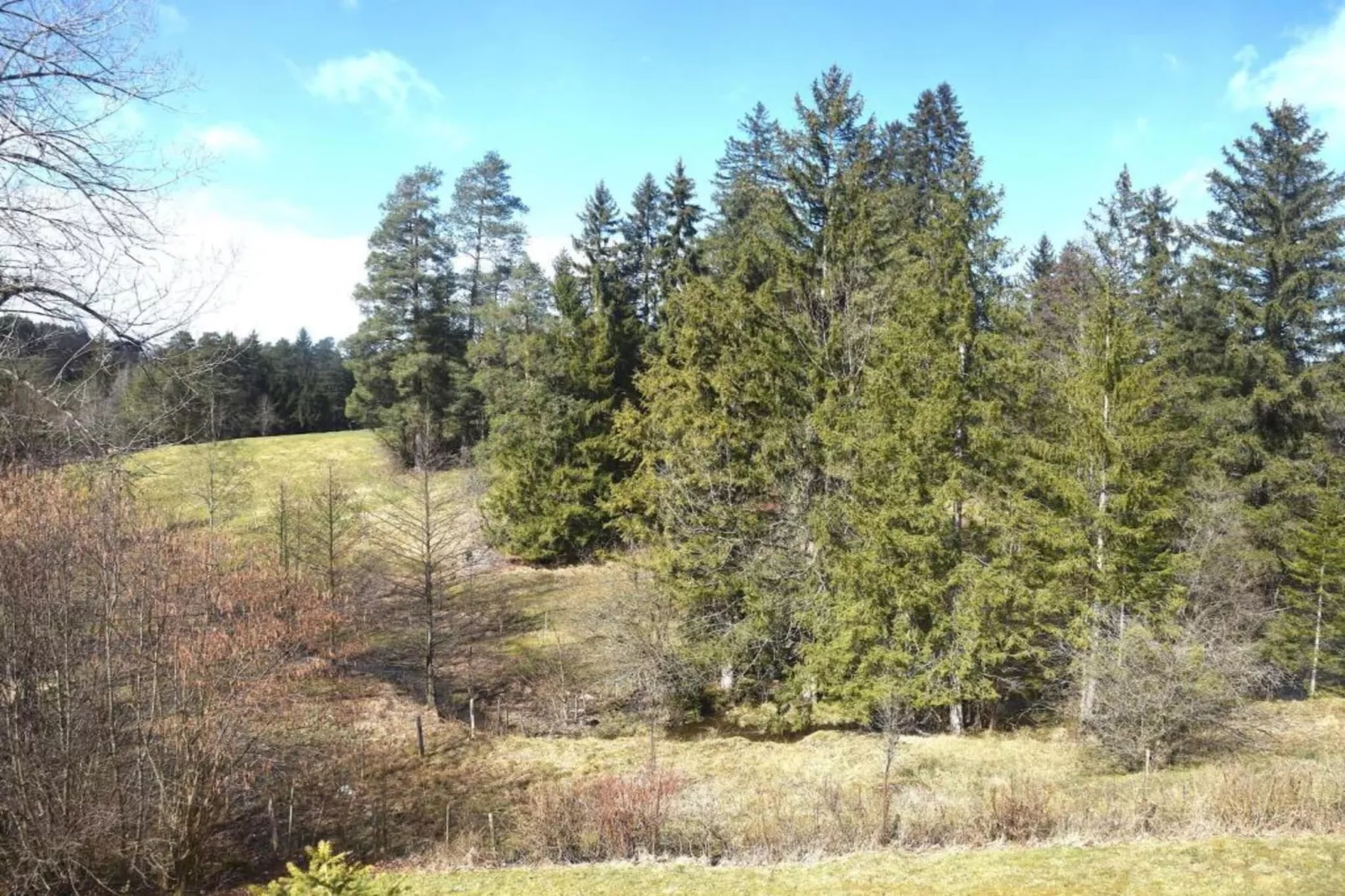 Ferienhaus Reichenbach HA-Areas summer 20km