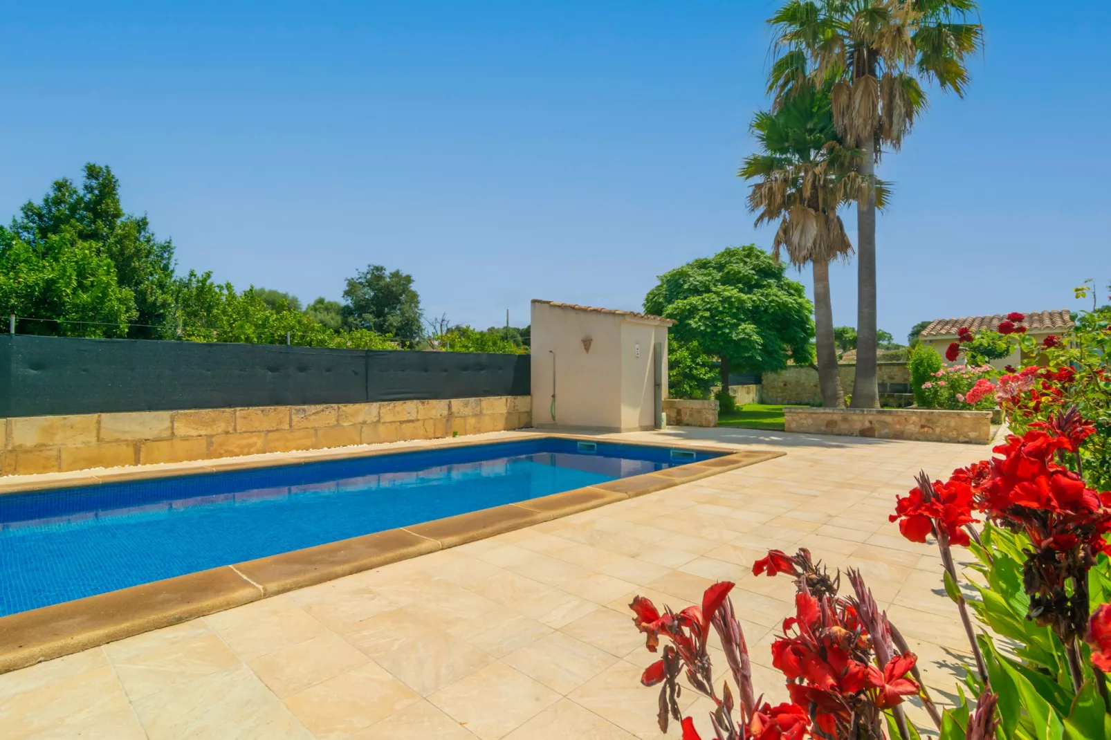Es Desaigua-Pool