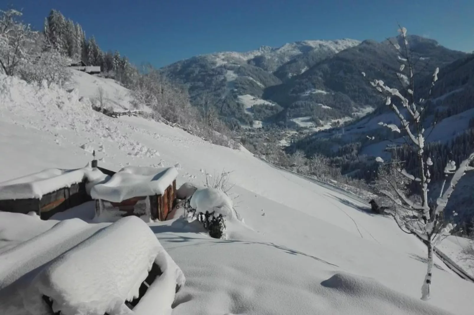 GA2C Alpenleben Apartments-Area winter 20km