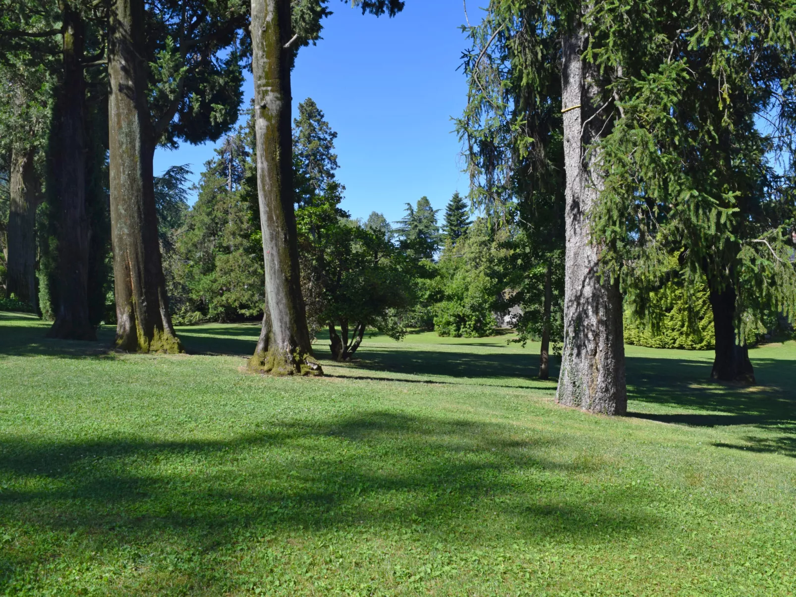 Villa Camelia-Dehors