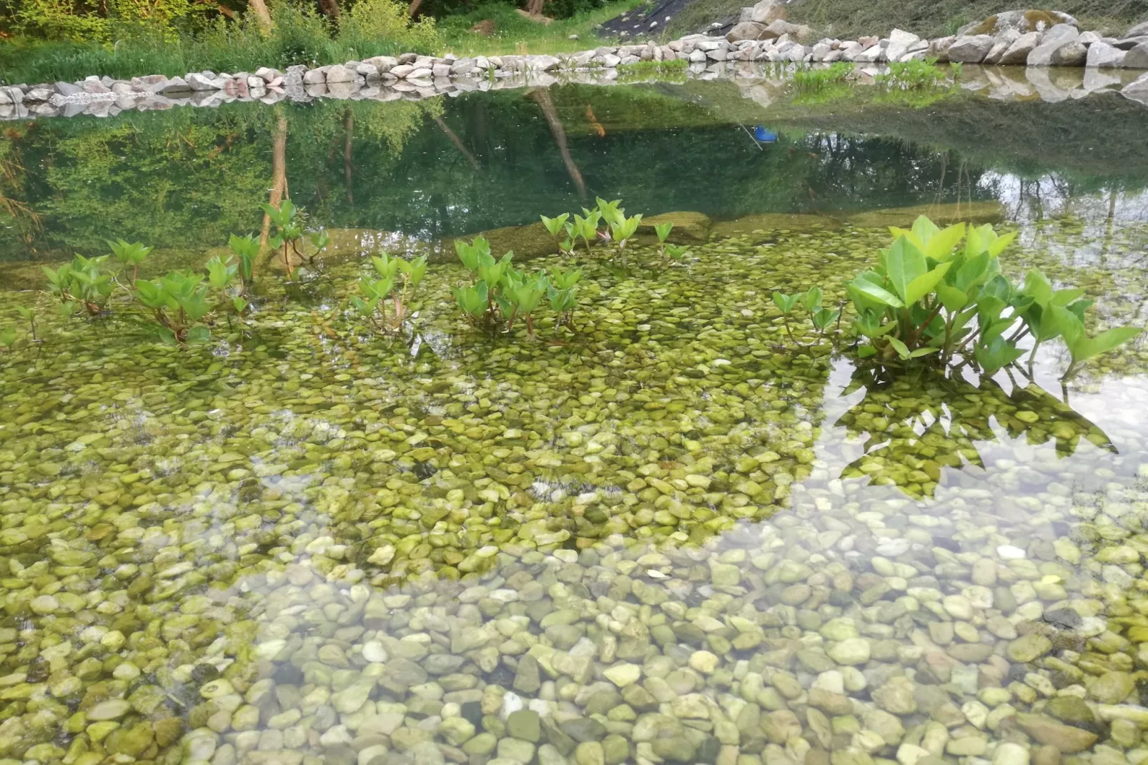 Lesany SLJK425-Pool
