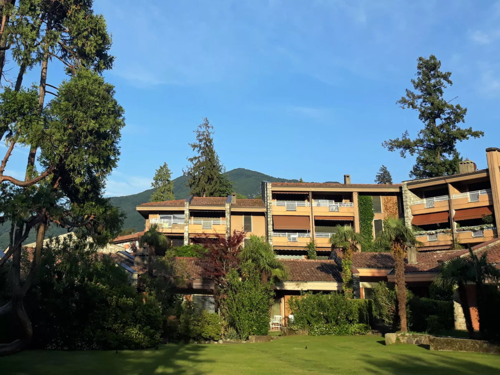 Villa Camelia-Dehors