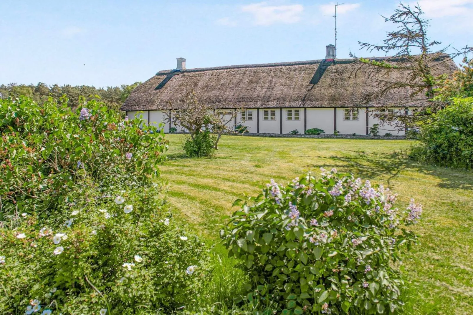 4 Sterne Ferienhaus in Læsø-Außenbereich