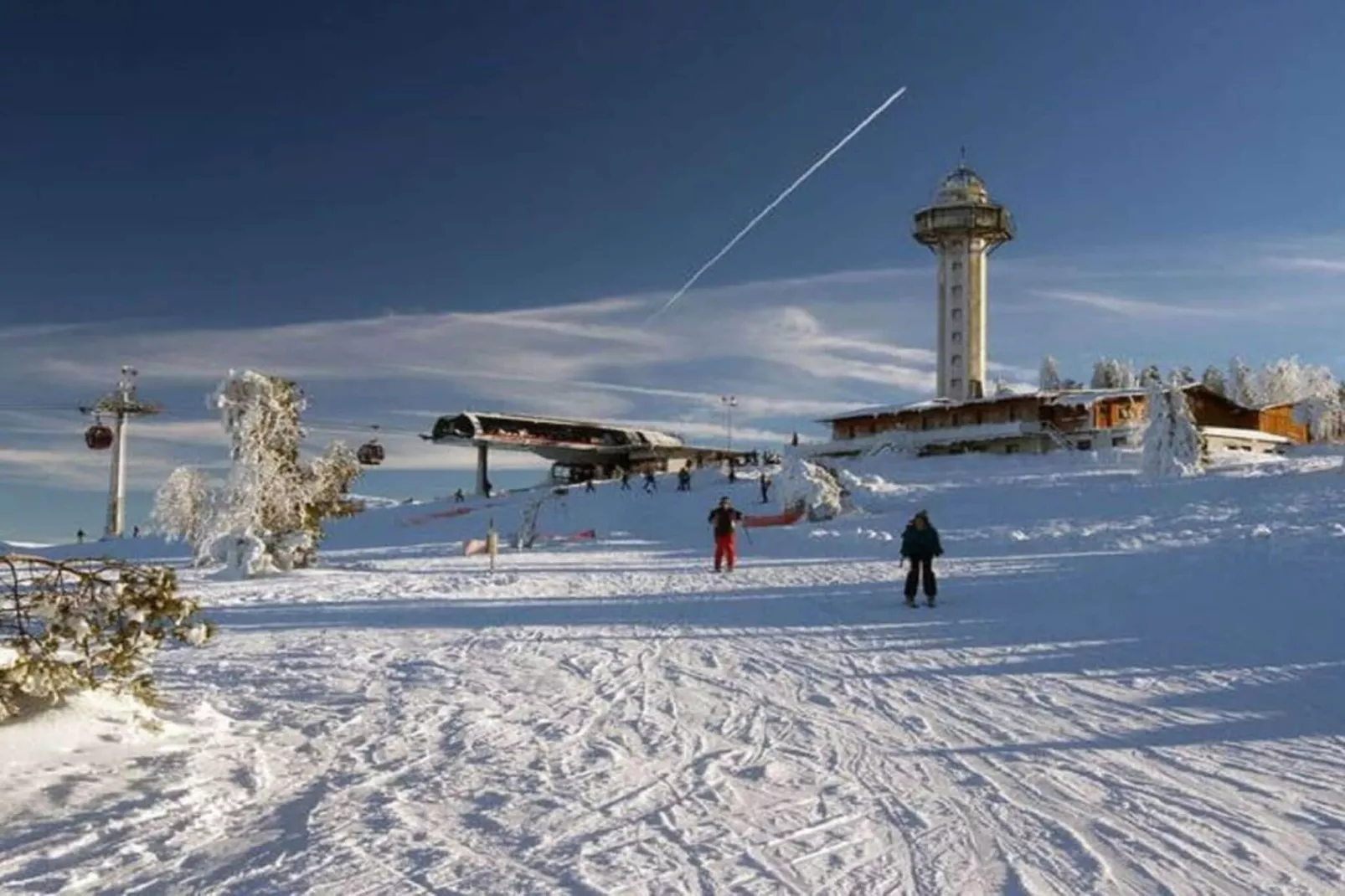 441633-Area winter 5km