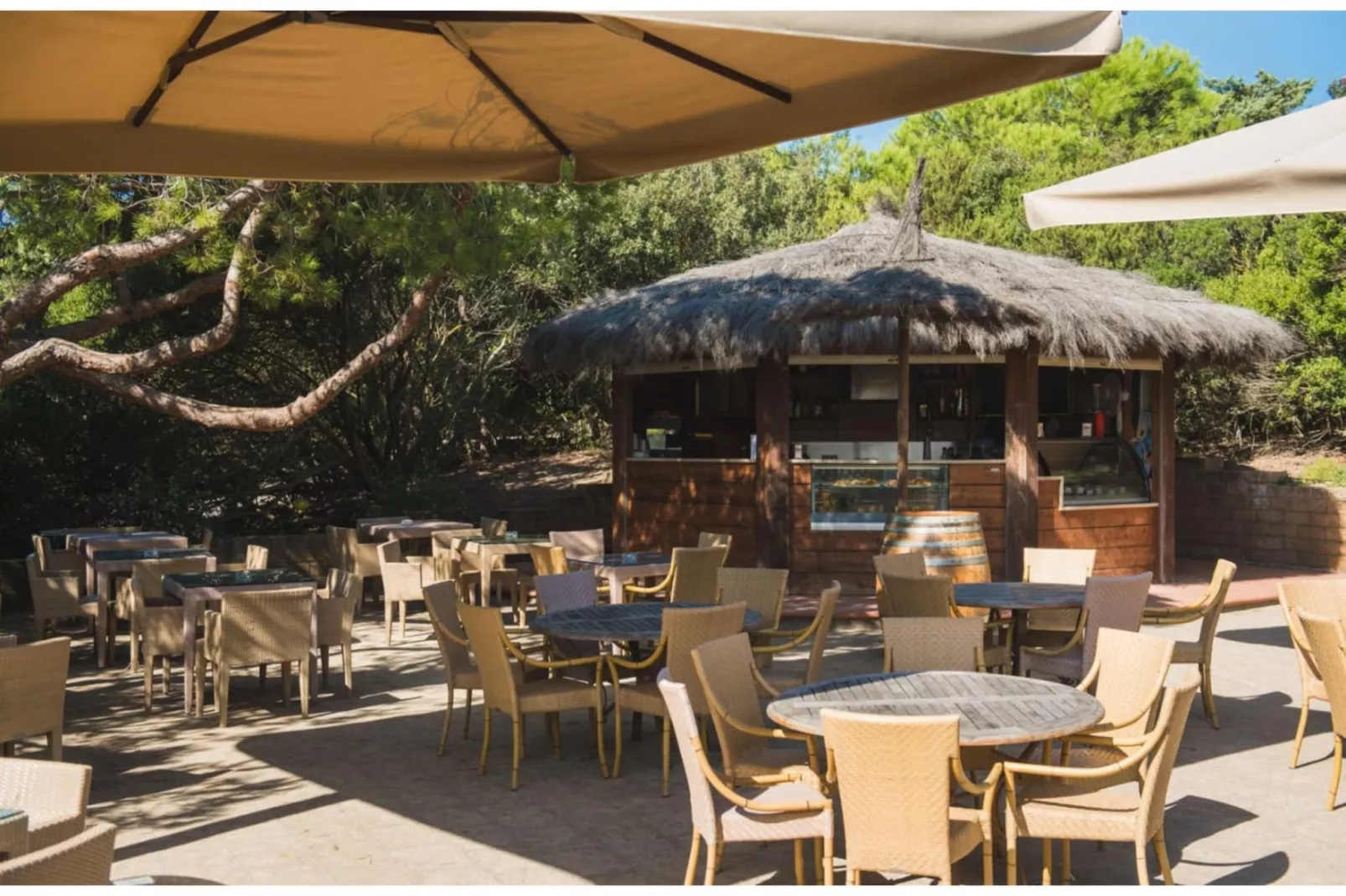 ROCCAMARE RESORT 1-Zi-App Studio Deluxe BK/TE 28 qm-Park facilities