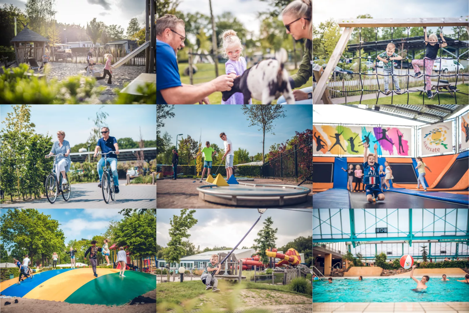 Safari tent 'Vos' | 2 - 5 people | pet allowed