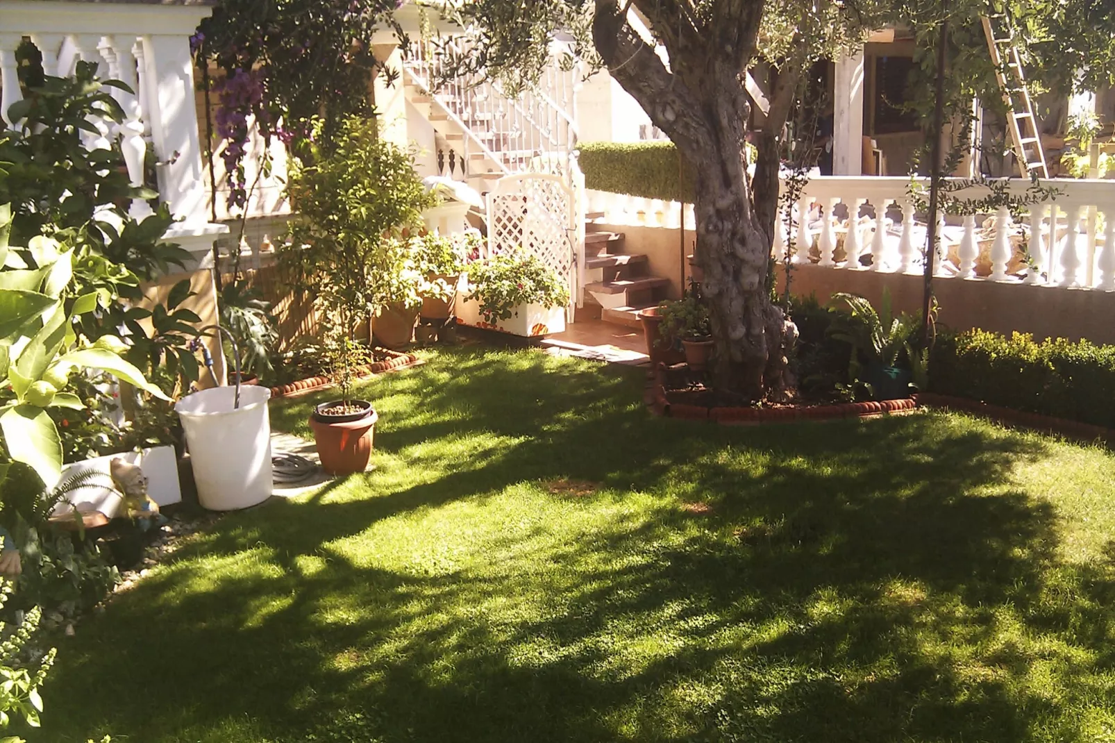 Apartments Gojevic - two bedroom apartment A2-Jardin d'été