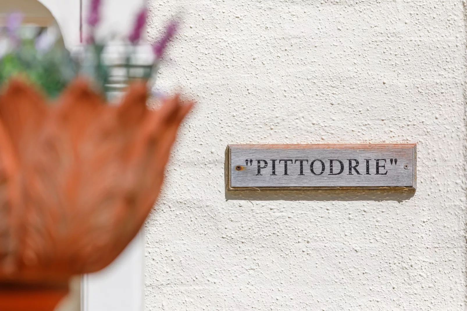 Pittodrie Guest House - Room 4-Atmosphere