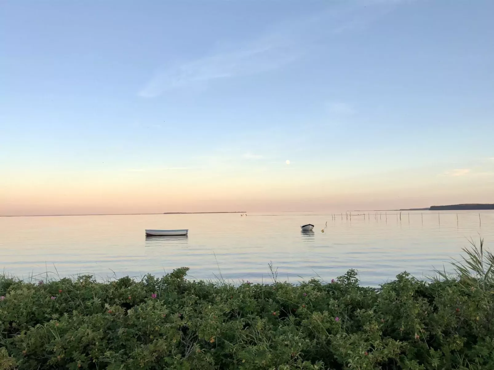 "Valia" - 20m from the sea-Dehors