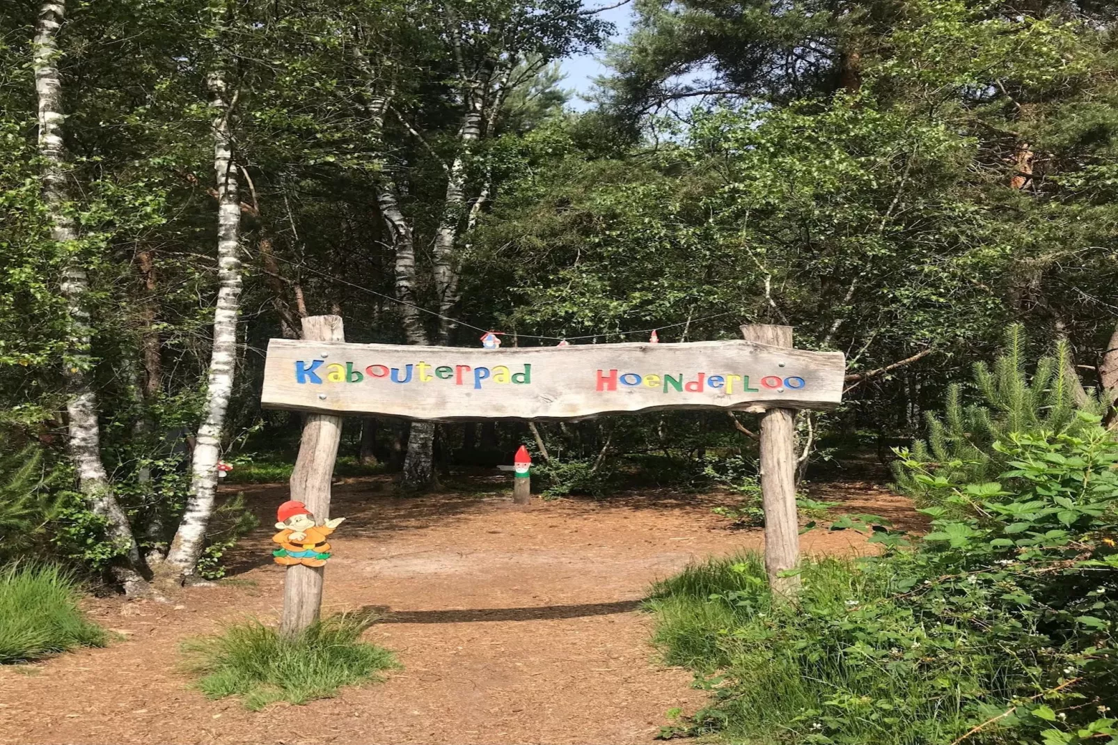Chalet Meerkoet-Gebiete Sommer 1 km