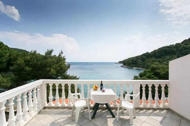 Apartments Franka Saplunara-One-Bedroom Apartment with Terrace and Sea View No 3-Terrace